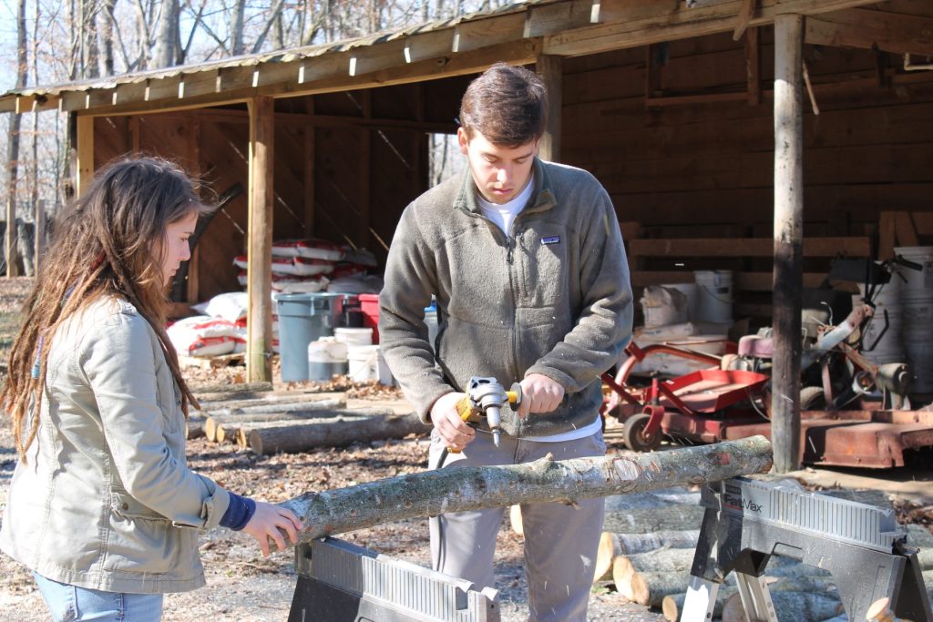 A man stands holding a saw, about to cut through a log that is propped up on two stands. On his right, a woman watches and helps hold the log in place. There is a barn in the background. 